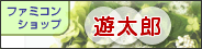 VYX